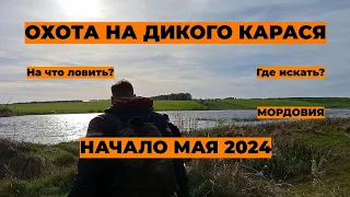 РЫБАЛКА НА КАРАСЯ НА МАЙСКИХ: ВЕСЕННИЙ ЖОР НАЧАЛСЯ!