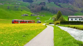 🌸🌿🌷 Switzerland 🇨🇭 the Most Happiest Country in the World | #swiss #swissview