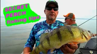 How to catch Mid-Summer JUMBO PERCH!!!