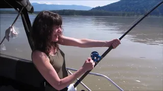 Sturgeon fishing Fraser River - small chick, big fish! (240lb sturgeon)