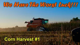 I Jinxed Us!!! We Were Not Prepared... Corn Harvest #1:  (9/13/23)