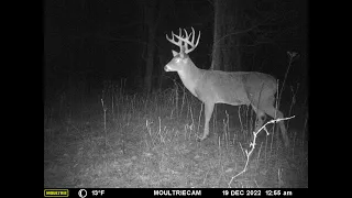 2021 and 2022 Illinois Deer Season Recap