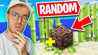 Minecraft, maar elk item is RANDOM!