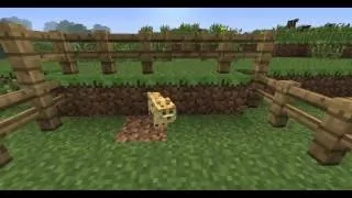 Minecraft ¡¿WTF?! - il Pulcino Pio (Version Minecraft).