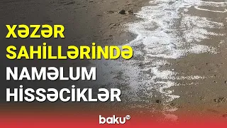 Xəzər sahillərində naməlum hissəciklər - BAKU TV