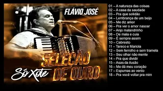 Flávio José  - Só xote  - Seleção de ouro - Vol.01