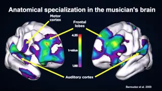 Our Musical Brain - Robert Zatorre on Musical Processing in the Brain