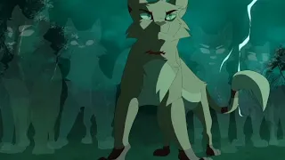 Warrior cats | It has begun AMV