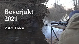 Beverjakt 2021/Østre Toten @Jaktinord Vlog