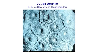 Friedrich-Karl Ewert: CO2 verringern - das Gegenteil wäre richtig am 24.11.2018