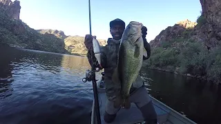 Winter Swimbait Fishing Is NOT Easy! (I'll Prove It!)