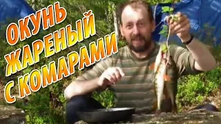 Смак по-карельски. Окунь, жареный с комарами