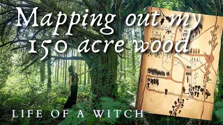 Witch living in an Enchanted Wood | THE 150 ACRE MAP