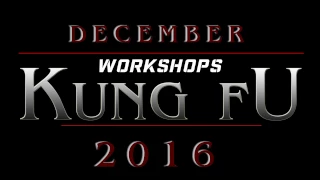 Workshops Kungfu Europe 2016