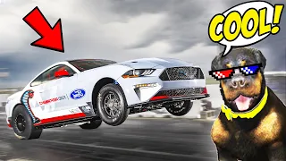 FINALLY DOING DRAG RACING WITH CHOP & BOB! (Car for Sale #4)