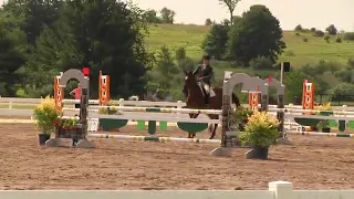 Video of BATTISTA ridden by LISA JACQUIN from ShowNet!