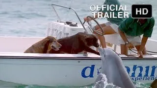 Dolphin Kissing Dog featured in DOLPHINS Official IMAX Trailer HD - Music by Sting