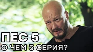 Сериал ПЕС - 5 сезон - 5 серия - О ЧЕМ СЕРИЯ? | СЕРИАЛЫ ICTV