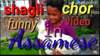 Shagli chor.  Funny video in assamese