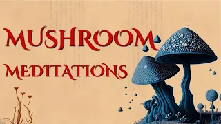 Mushroom Meditations (Playlist)