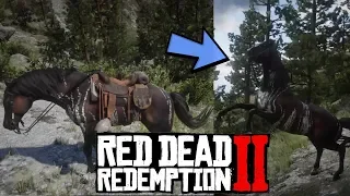 Новая лошадь в RDR 2 | Арабская чубарая тигровая