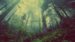Psychill set vol 2