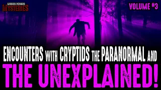 Encounters With Cryptids & The Unexplained - Volume #3