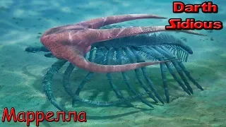 Развитие жизни на Земле (The Evolution of Life) - Маррелла (Marrella splendens)