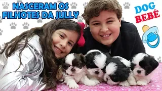 NASCERAM OS FILHOTES DA JULLY - Nossos cachorrinhos bebês ♥