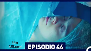 Um Milagre Episódio 44 (Dublagem em Português)