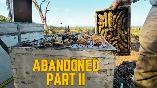Never Been Inspected | Opening Up Three Abandoned Beehives and Finding the Worst Conditions.