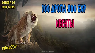 Black desert : РЕЙТЫ 100 % ДРОПА 800 EXP % / ИВЕНТЫ /