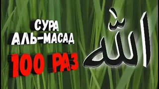 Сура Аль-Масад 100 раз чтец Мишари Рашид