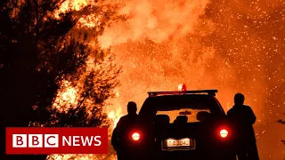 Volunteer firefighters battle fierce wildfires in Greece - BBC News