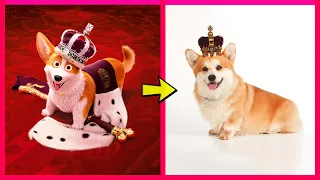 The Queens Corgi Characters in Real Life