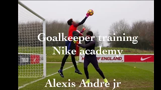 Nike academy goalkeeper training andre alexis junior