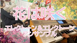 花は咲く　E＆Eアンサンブル　