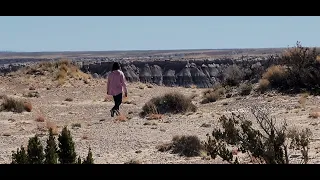 Painted Desert