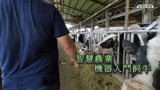 全世界酪農嚴重缺工，科技養牛成為趨勢! [ 智慧農業-機器人鬥飼牛 ] 2022.12.11 台灣記事簿 第171集