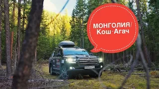 Путешествие в Азию. Монголия, Алтай граница, Кош-Агач часть 6. Toyota Land Cruiser