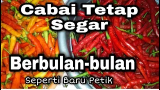 Cara Menyimpan Cabai Supaya Awet Berbulan-bulan‼️