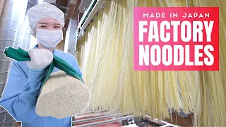 How Factory Noodles are Made in Japan