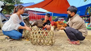 Phuong sells chickens at the market, Builds a trellis for climbing beans - Ep.17