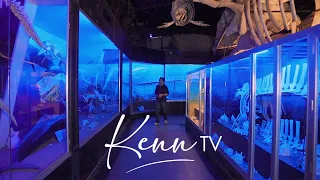 Exploring the Life-Changing Wonders of D' Bone Collector Museum in Davao City | Kenn TV Goes To...