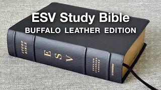 ESV Study Bible | Full Review (Buffalo Leather Edition)