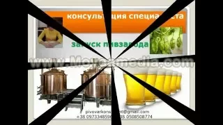 запуск пивзавода-консультация специалиста