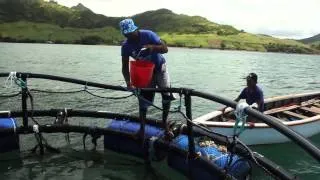 Cage construction, GMP and value addition in the small scale mariculture sector