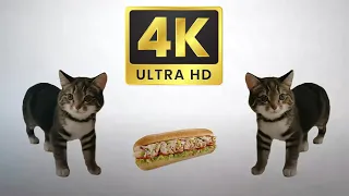 this is a sandwich. but it's 4K.