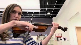 Into the Midnight Forest - Violin