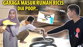 GARAGA ULER GEDE MASUK RUMAH RICIS.. Dia Poop??